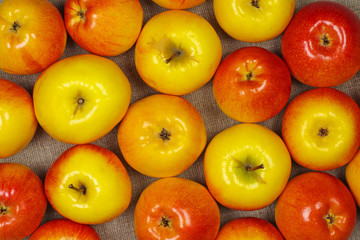 Yellow and red apples