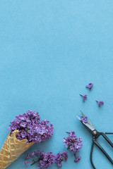 Purple lilac flowers in a waffle ice cream cone. Flower Still Life. Copy space.