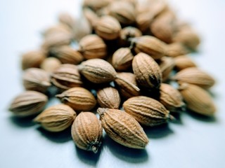 Coriander seed's isolated on white background