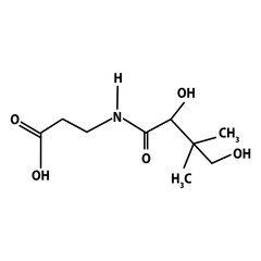 Vitamin B5. Pantothenic acid Molecular chemical formula. Infographics. Vector illustration on isolated background.