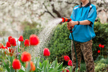 Cute boy watering plants from the hose, makes a rain in the garden. Child helping parents to grow...