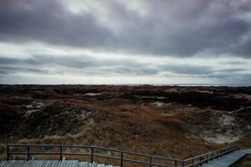 Obraz premium Wooden path in the dunes leading through vast dune landscape