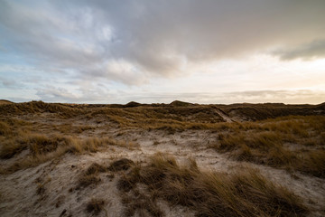 backlit Dunes on the North Frisian Island Amrum in Germany