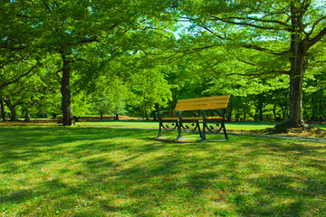 Fototapeta premium Garden bench