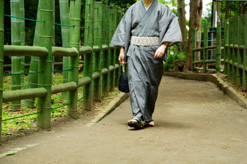 Japanese Kimono style in bamboo forest