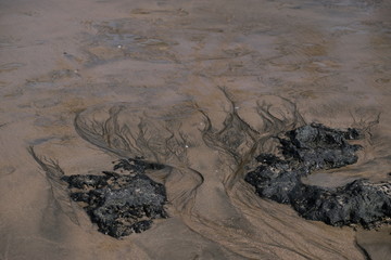 Beach with stones