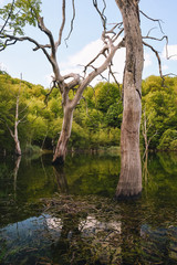 Fototapeta premium Small lake in the mountains without people in Basque Country