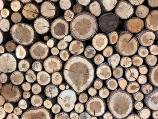 These natural wooden discs are surrounded with bark, fantastic for table numbers, wedding decorative ideas and general crafting.