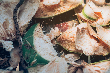 Close up to Coconut peel on the table after being peeled to make coconut juice.