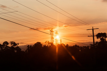 Afternoon sunshine beaming through electricity pylons.