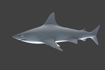 White shark in gray background, 3d rendering