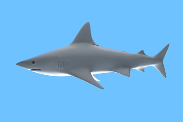 White shark in blue background, 3d rendering