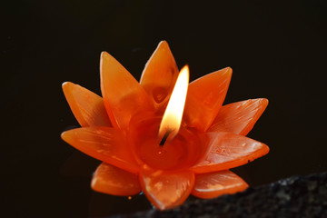 Lotus shaped candle