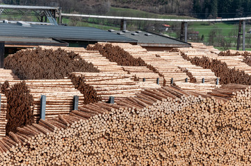 Stock timber in saw mill.