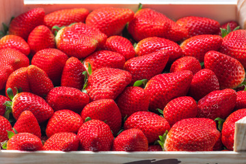 fresh red strawberries