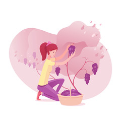 Girl gathering grape vector illustration