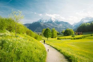 Schilderijen op glas Idyllisch landschap in de Alpen met bloeiende weiden in de lente © JFL Photography