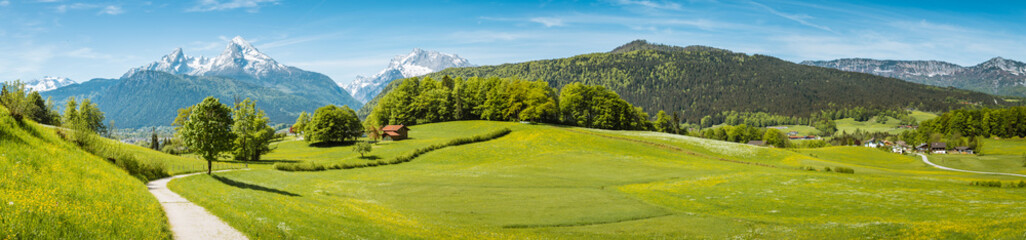 Idyllic spring landscape in the Alps with meadows and flowers - obrazy, fototapety, plakaty