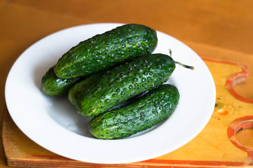 fresh green cucumber on a plate on table