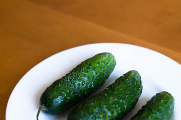 fresh green cucumber on a plate on table