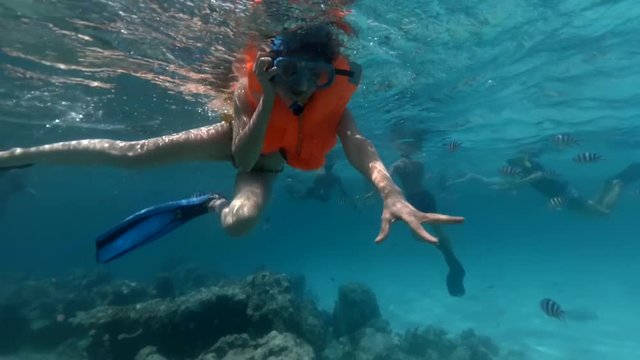 Large group of tourists with scuba masks swim and dive among black and white striped fish near the coral reef. Adult girl in a life jacket swims and looks into the camera. Underwater footage.