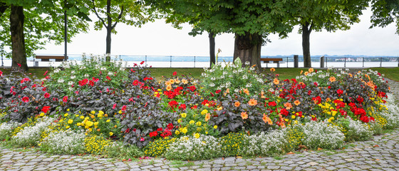 Üppiges Blumenbeet an der Uferpromenade in Bregenz am Bodensee
