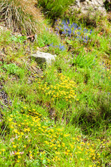Gorges du Verdon, Provence, France