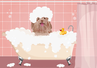 Cute dog taking a bath full of soap foam. Dog wash. Yellow rubber duck in bathtub. Grooming concept. Pink background.