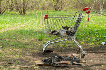 trolley from the supermarket with garbage