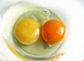 Organic and inorganic eggs