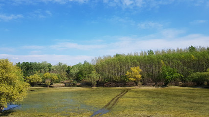 Danube river flood at Petrovaradinsko-Koviljski rit near Novi Sad, Vojvodina, Serbia