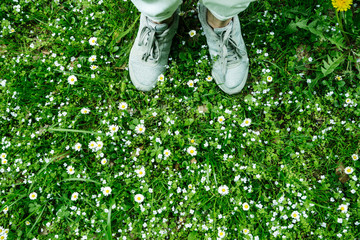top view legs in grey shoes on grass with white flowers
