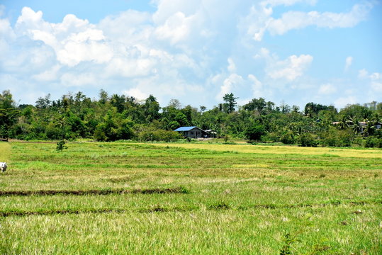 Santiago city, Isabela, Philippines skyline from and around Dariok hill at the day, top of the hill