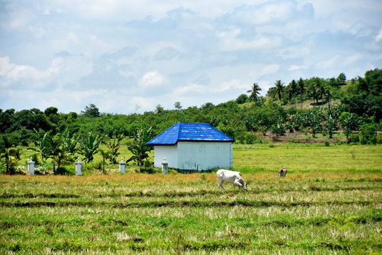 Santiago city, Isabela, Philippines skyline from and around Dariok hill at the day, top of the hill