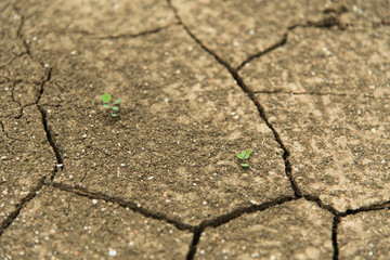 Cracked dry land surface background, global warming
