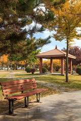 Obraz premium In the fall, park benches
