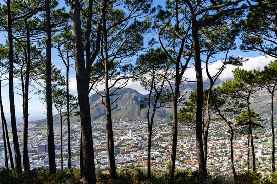 Blick von Signal Hill auf Kapstadt