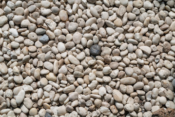 pebbles on the park