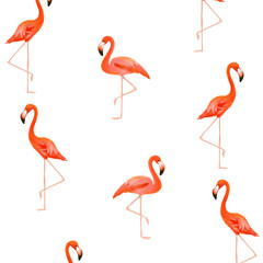 Fototapeta premium Red flamingo pattern on white background.