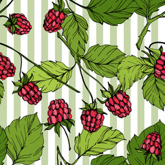 Vector Raspberry healthy food isolated. Red and green engraved ink art. Seamless background pattern.