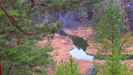 autumn in the park