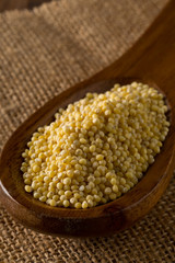 Pile of golden millet, a gluten free grain seed, in wooden spoon on burlap fabric on brown kitchen table