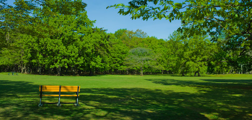 Obraz premium Park bench
