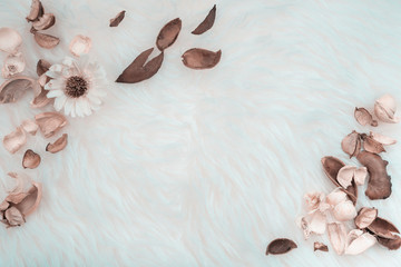 aroma therapy and spa object in spring season with dry tropical leaf decorate on white wool or fur...