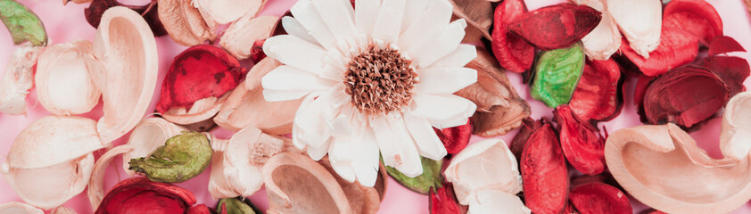 aroma therapy and spa object in spring season by minimal flat lay style with group of dry tropical leaf decorate on pink vintage background