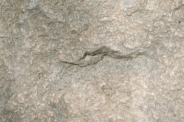Gray cement surface for background Concrete wall
