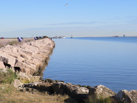 texas city dike