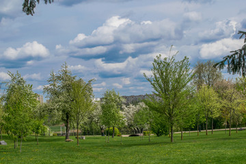 Fototapeta na wymiar spring landscape river forest trees against a blue sky