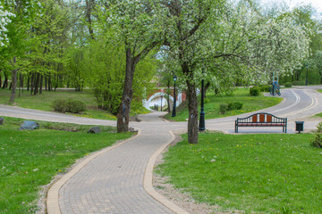 tracks in spring park landscape against blue sky