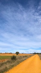 Fototapeta premium the way